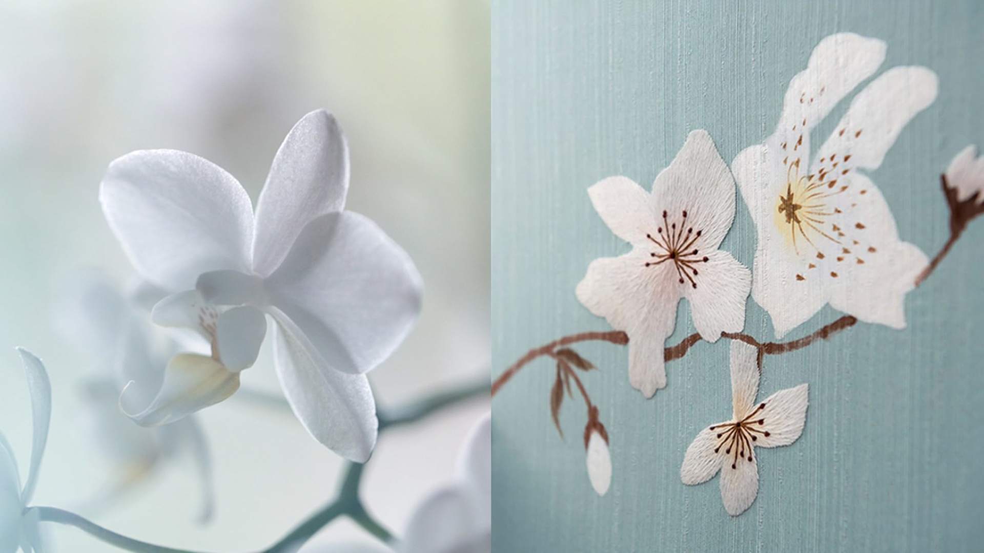 A flower shown next to the embroidered interior of a bespoke Rolls-Royce motor car