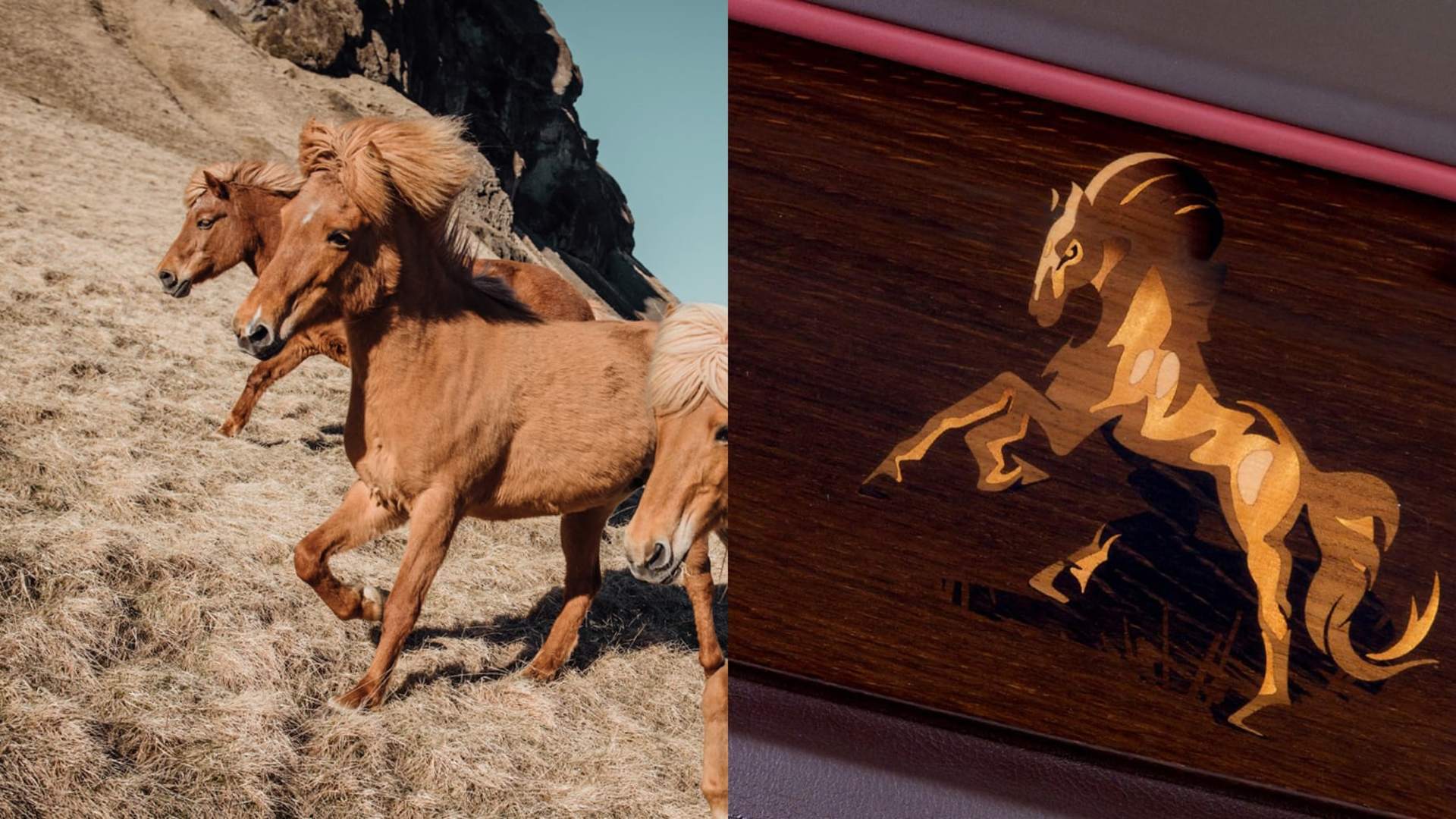 Horses running through a field next to a close up of a Rolls-Royce interior