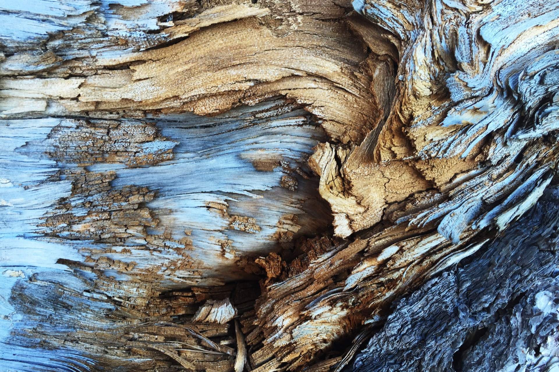 A close up of textured wood