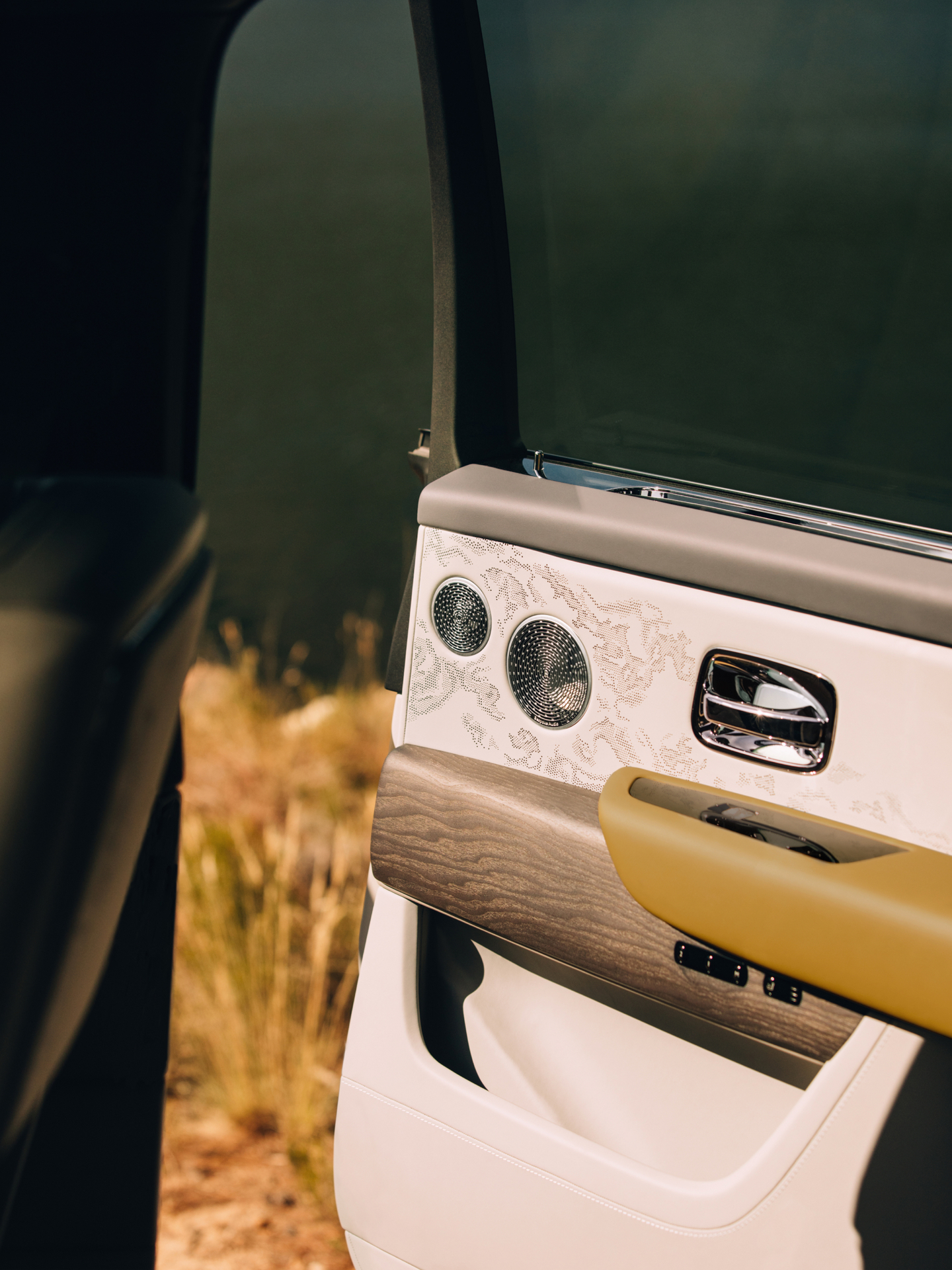 Interior of the door with bespoke pattern